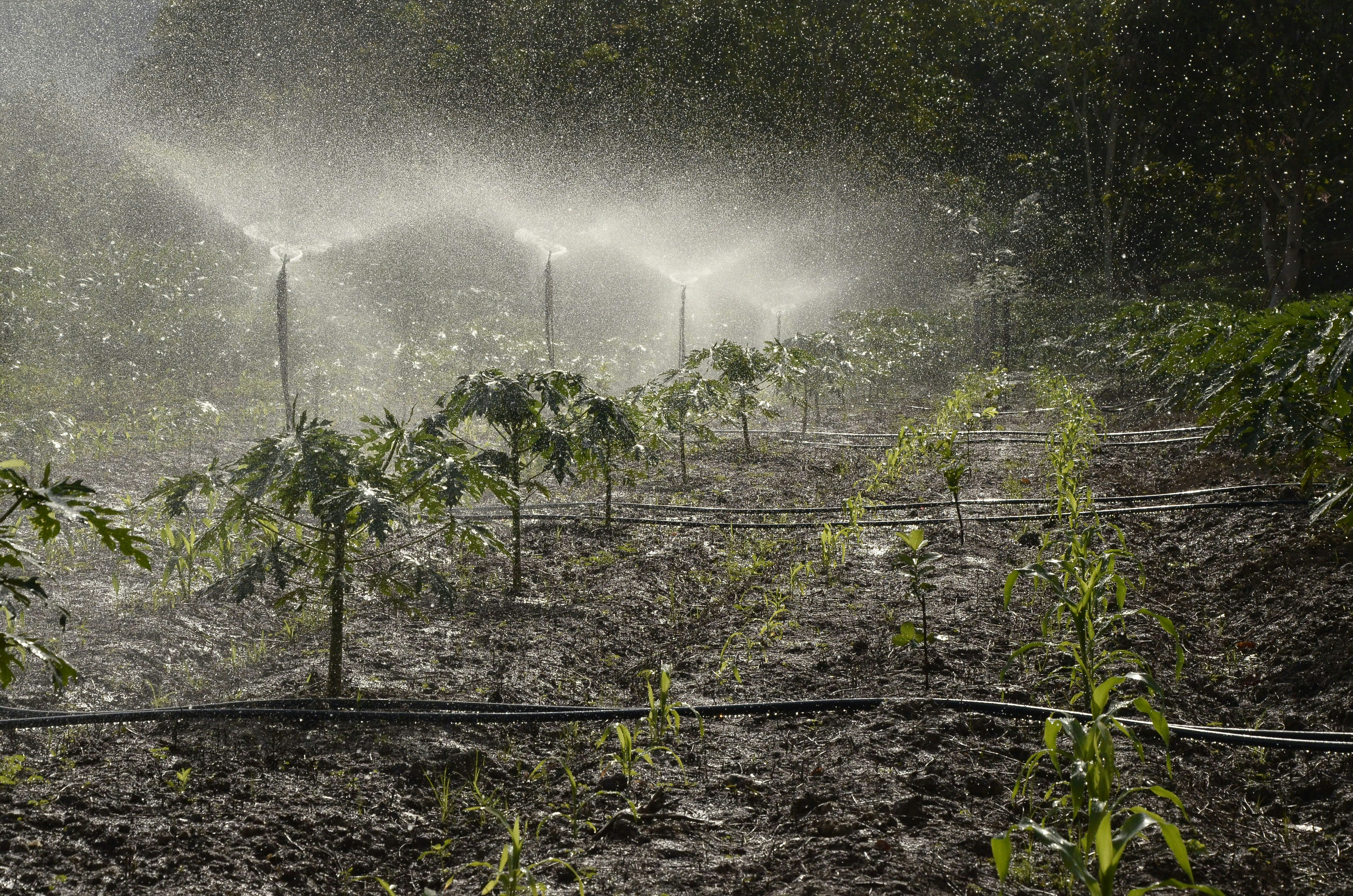 water management for irrigation
